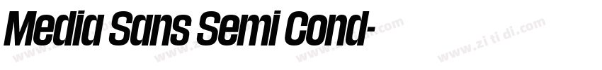 Media Sans Semi Cond字体转换